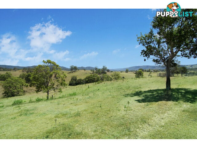 267 Laceys Creek Road Laceys Creek QLD 4521