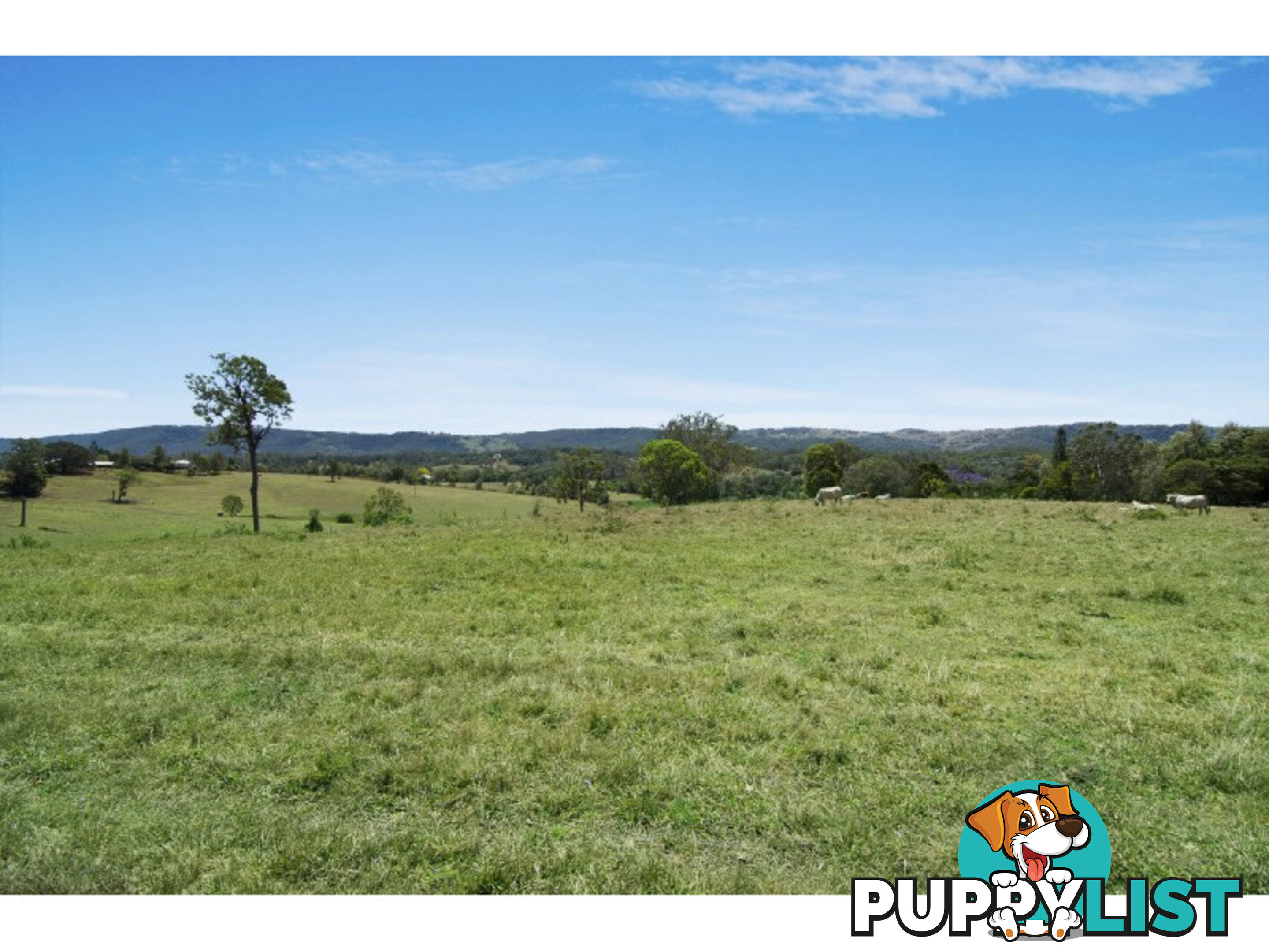 267 Laceys Creek Road Laceys Creek QLD 4521