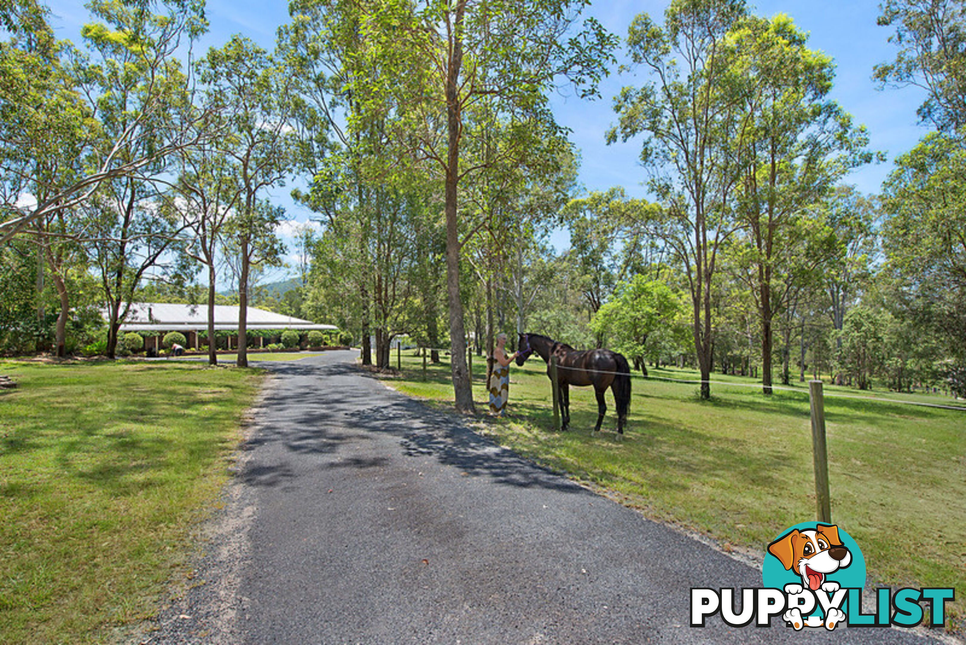 4 Roxburgh Road Wights Mountain QLD 4520