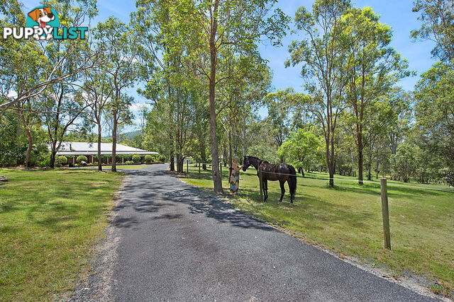 4 Roxburgh Road Wights Mountain QLD 4520