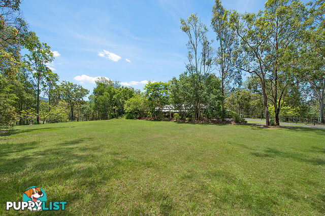 4 Roxburgh Road Wights Mountain QLD 4520