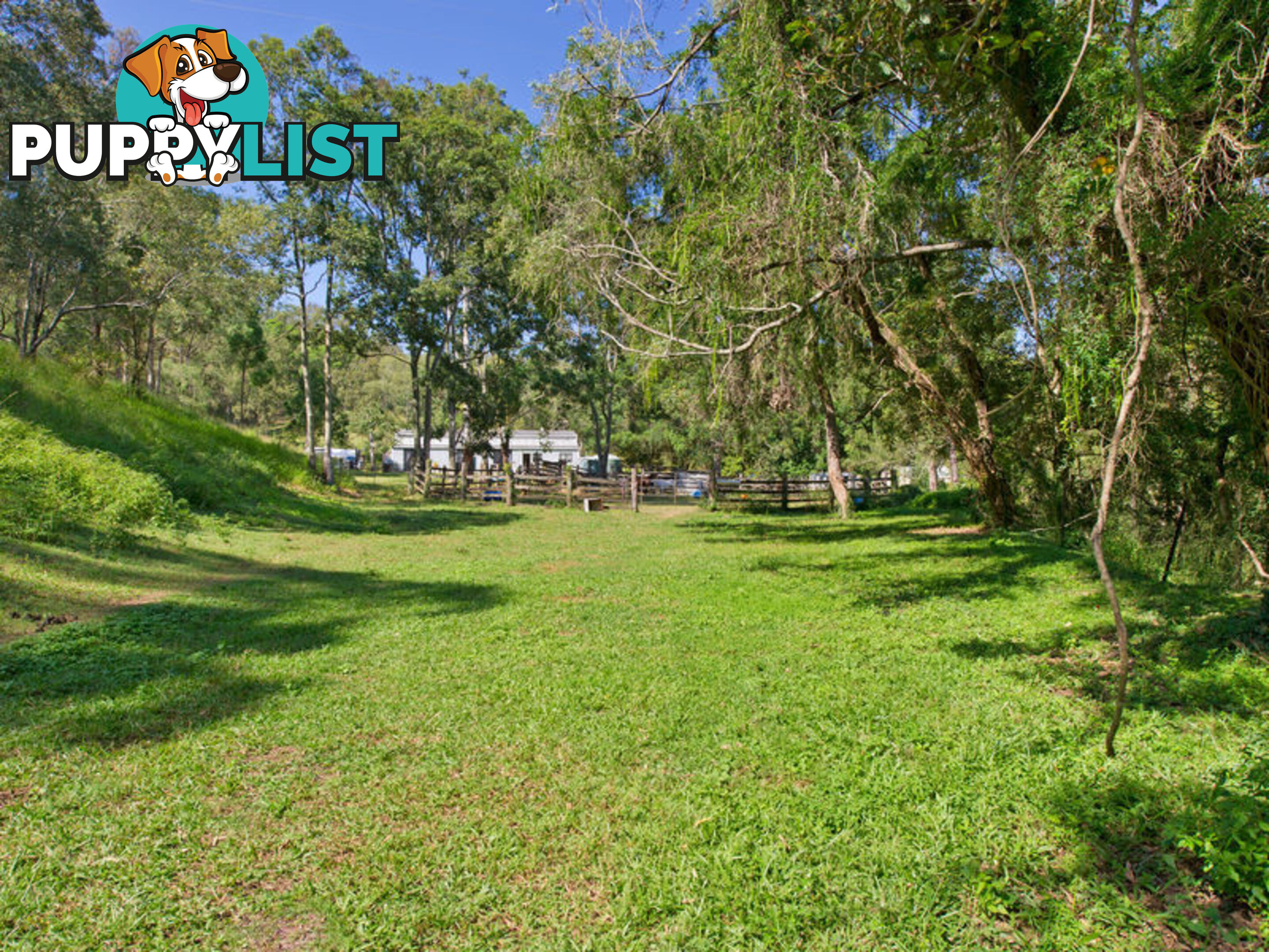 31 Branch Road Kobble Creek QLD 4520