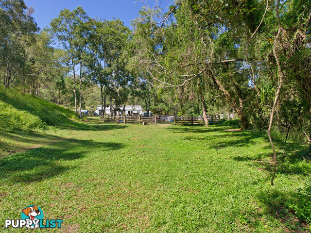 31 Branch Road Kobble Creek QLD 4520