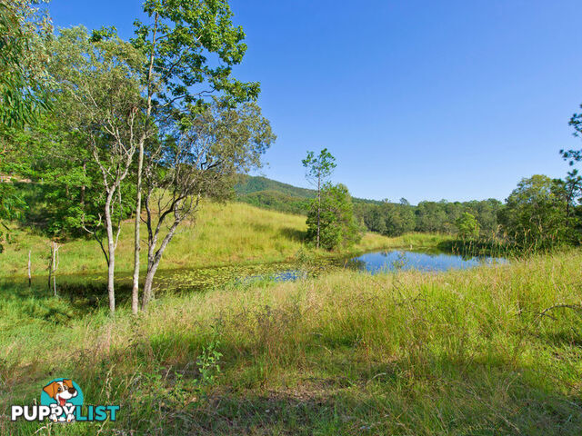 31 Branch Road Kobble Creek QLD 4520