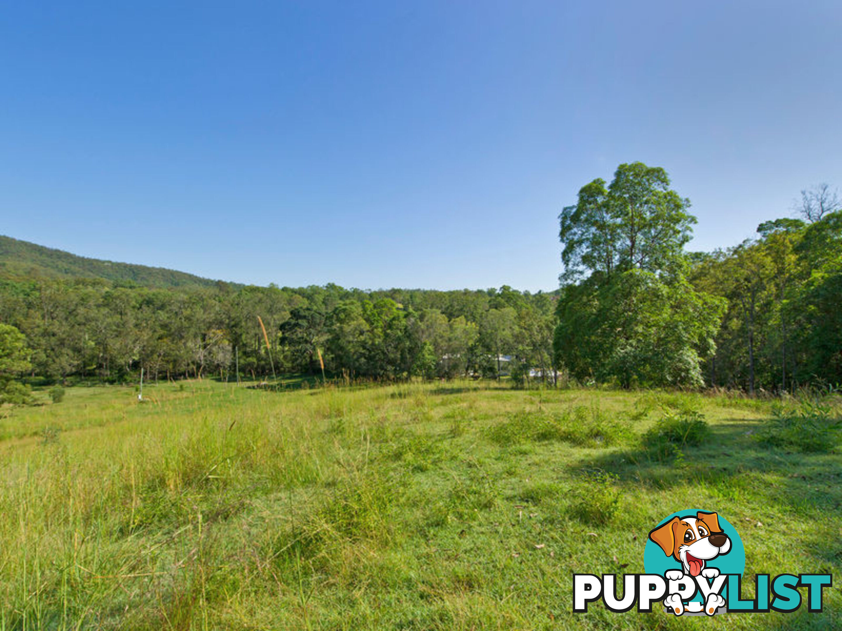 31 Branch Road Kobble Creek QLD 4520