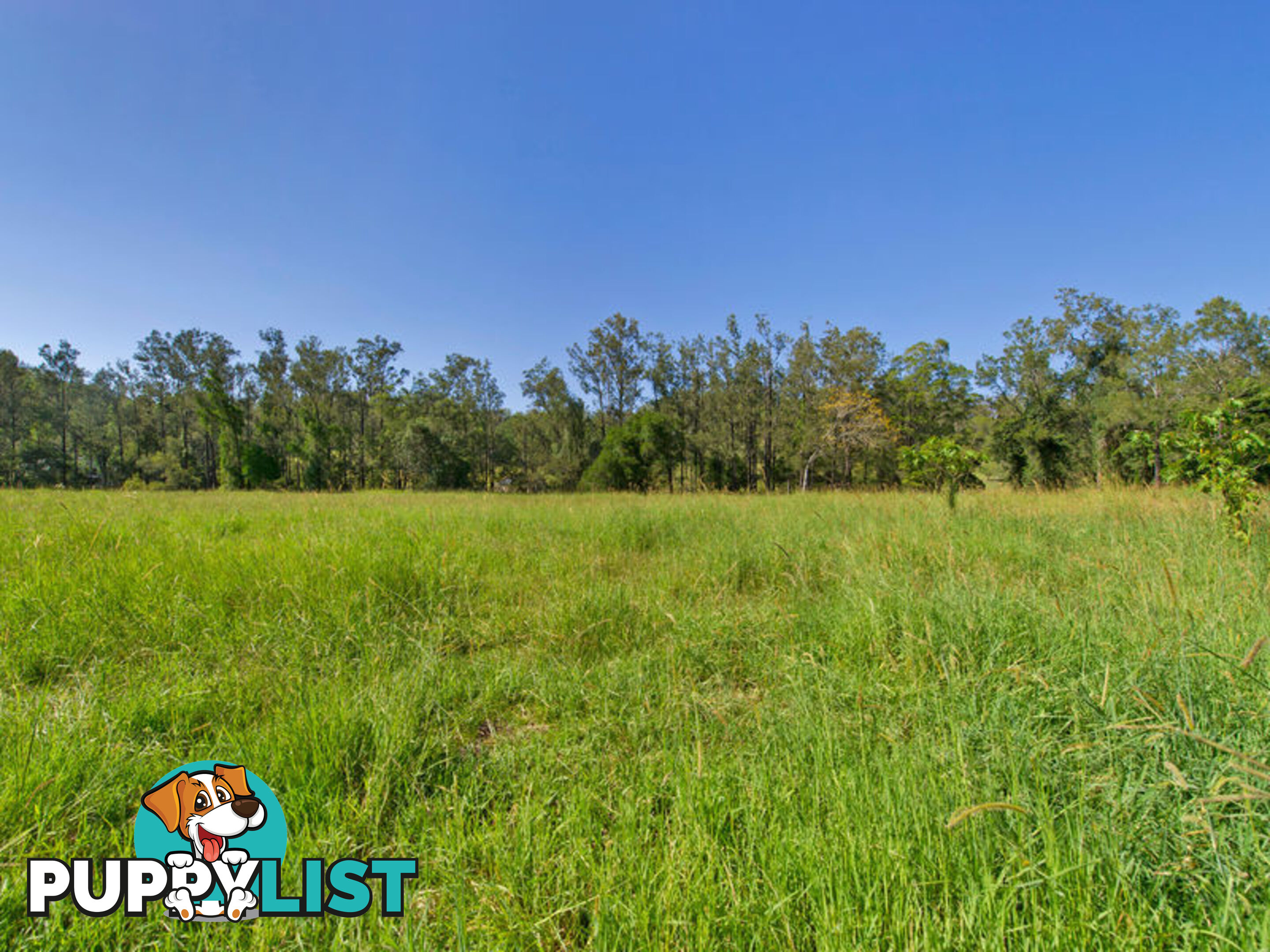 31 Branch Road Kobble Creek QLD 4520