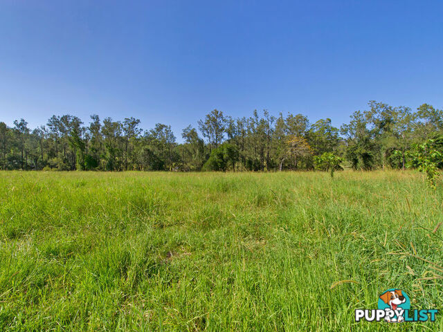 31 Branch Road Kobble Creek QLD 4520