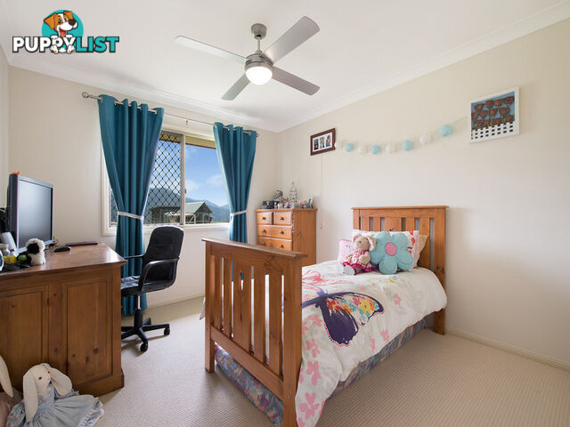 155 Mayfield Road Cedar Creek QLD 4520