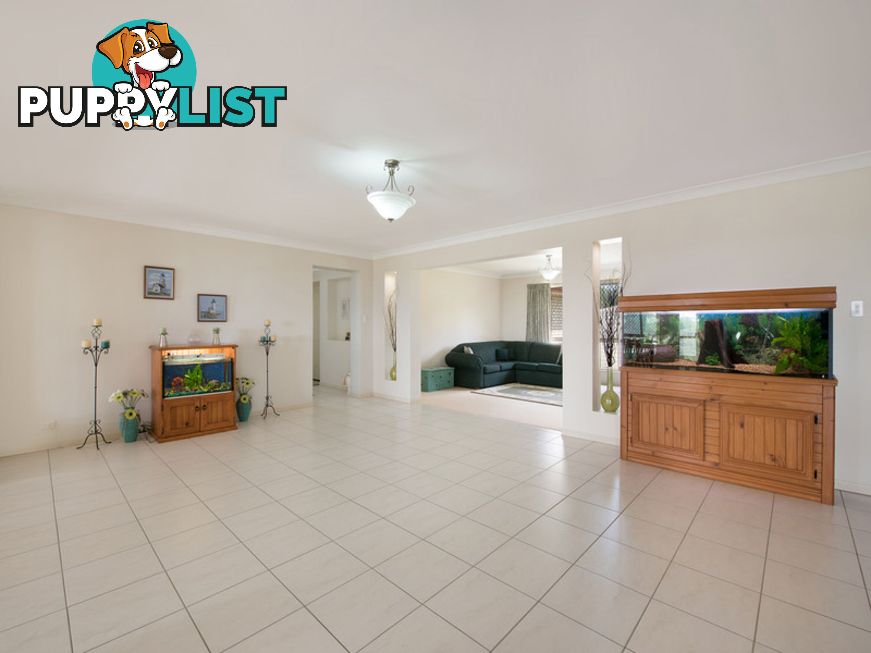 155 Mayfield Road Cedar Creek QLD 4520