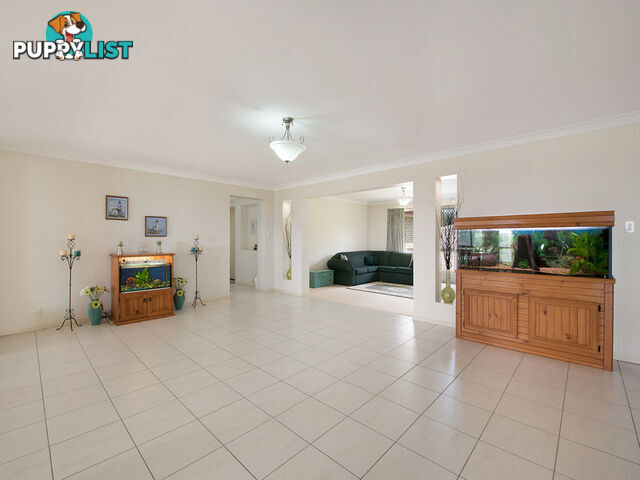 155 Mayfield Road Cedar Creek QLD 4520