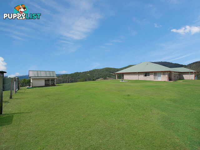 155 Mayfield Road Cedar Creek QLD 4520