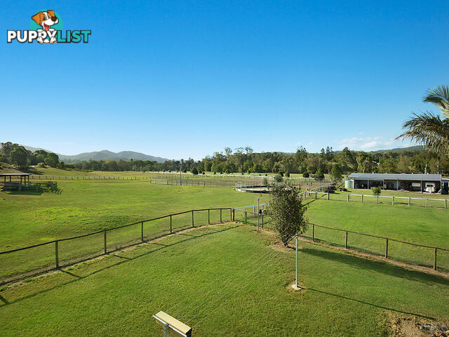 5 Baker Road Laceys Creek QLD 4521