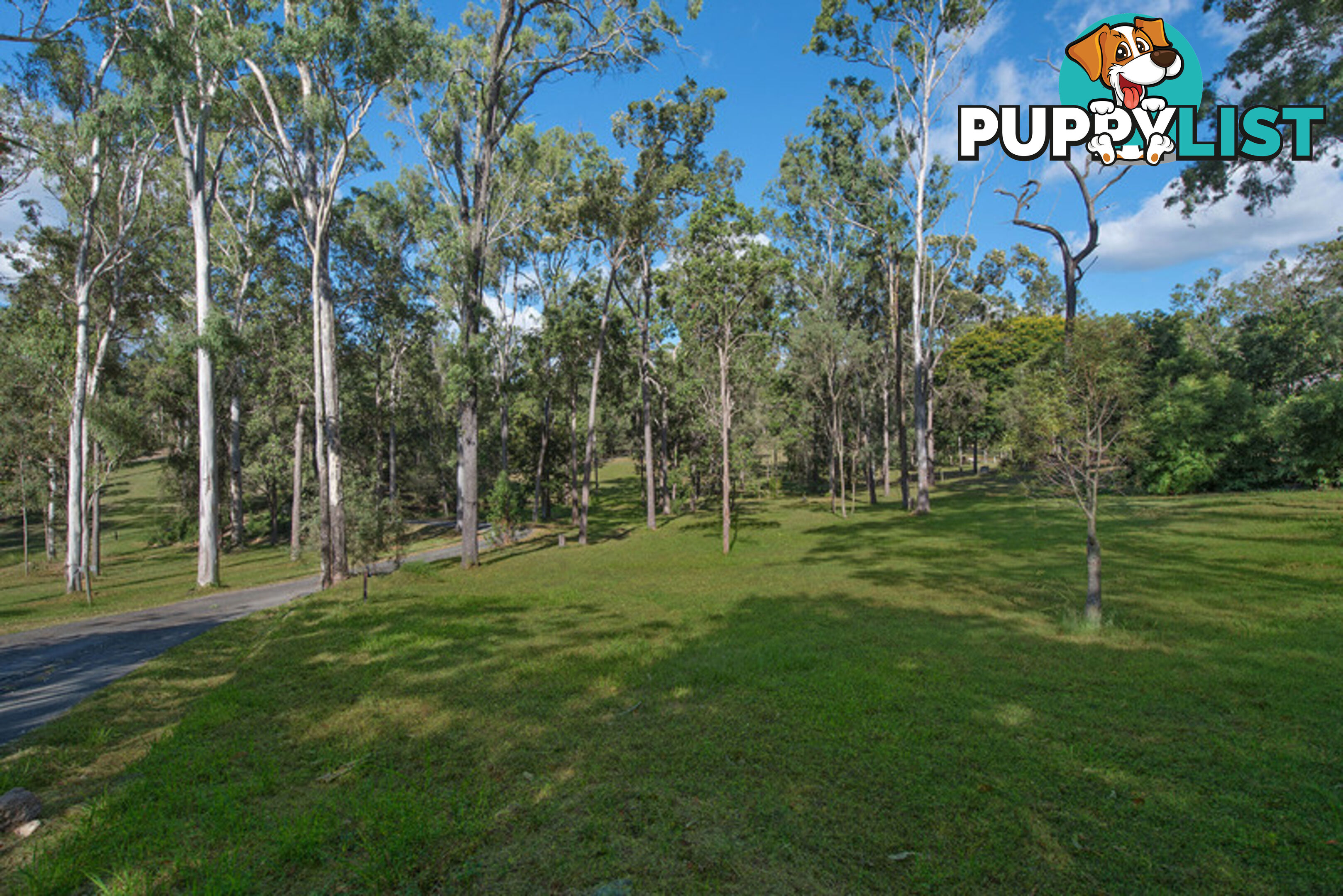 7 Hogan Court Camp Mountain QLD 4520