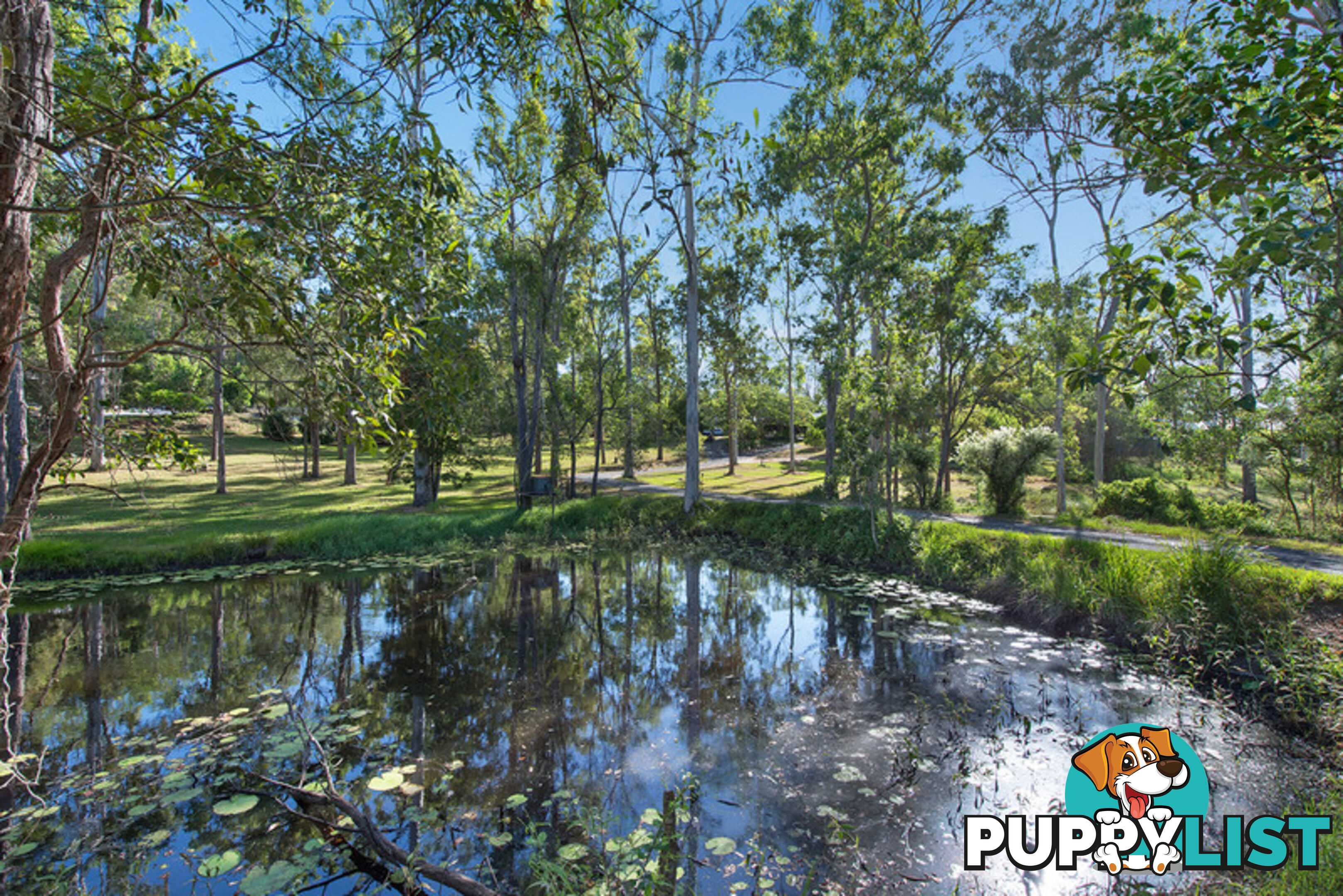 7 Hogan Court Camp Mountain QLD 4520