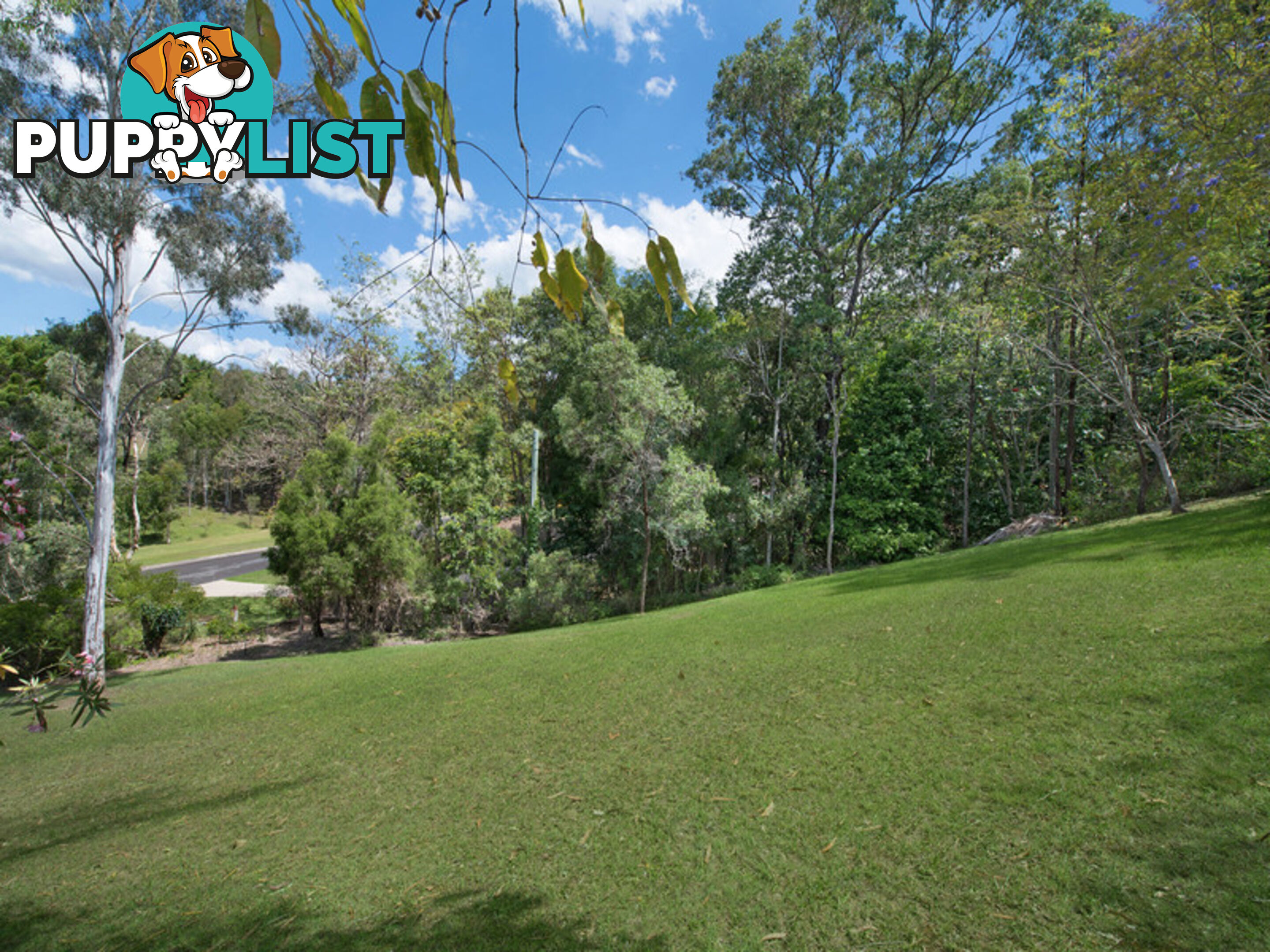 14 Ashwood Court Samford Valley QLD 4520