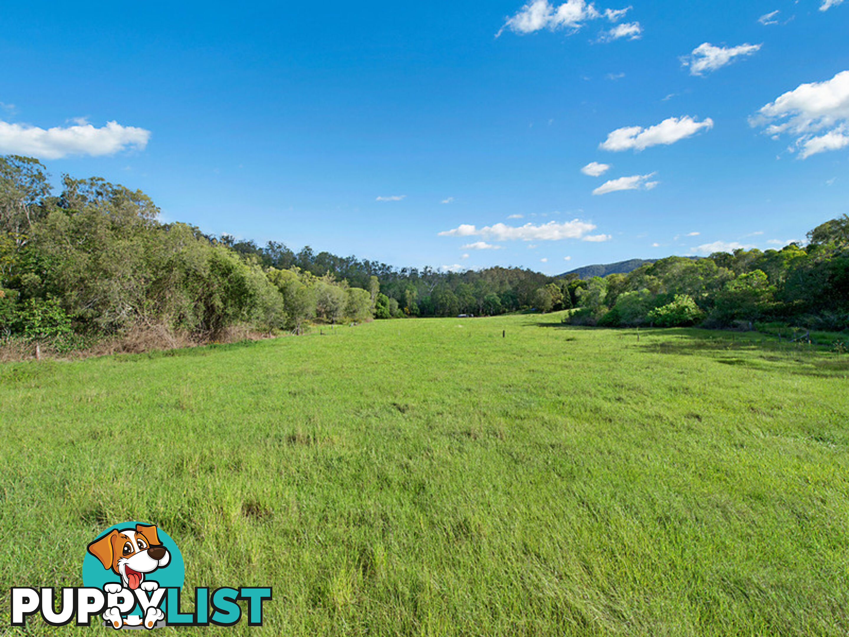 212 Dales Road Kobble Creek QLD 4520