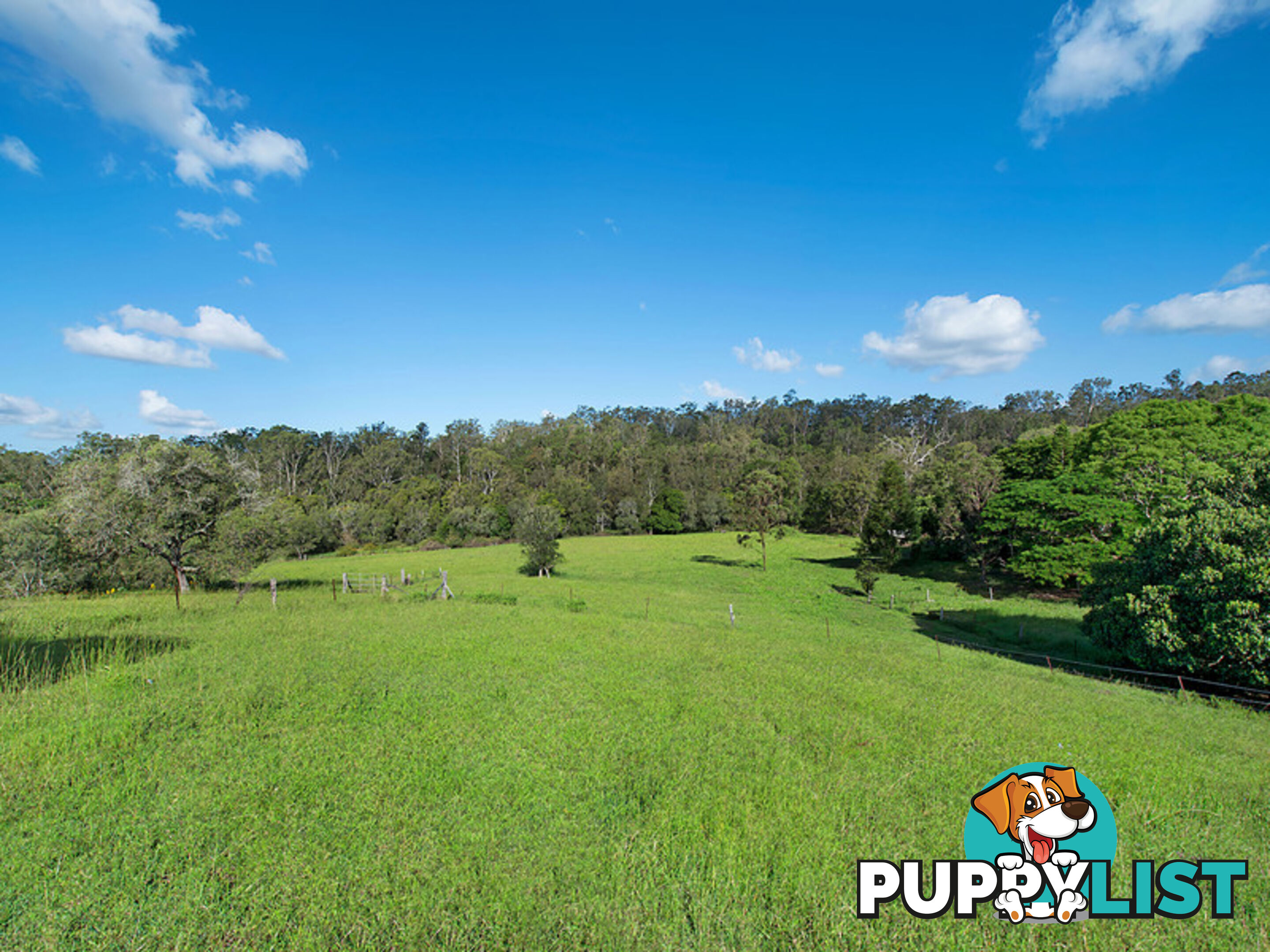 212 Dales Road Kobble Creek QLD 4520