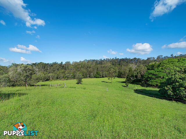 212 Dales Road Kobble Creek QLD 4520