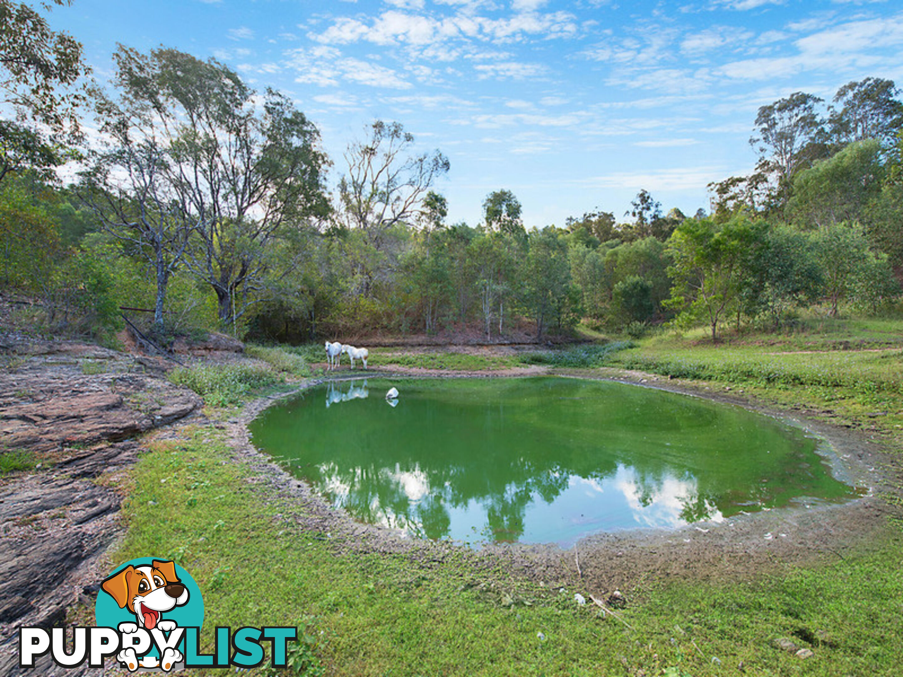 212 Dales Road Kobble Creek QLD 4520