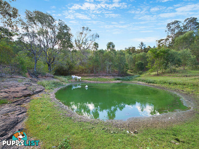 212 Dales Road Kobble Creek QLD 4520