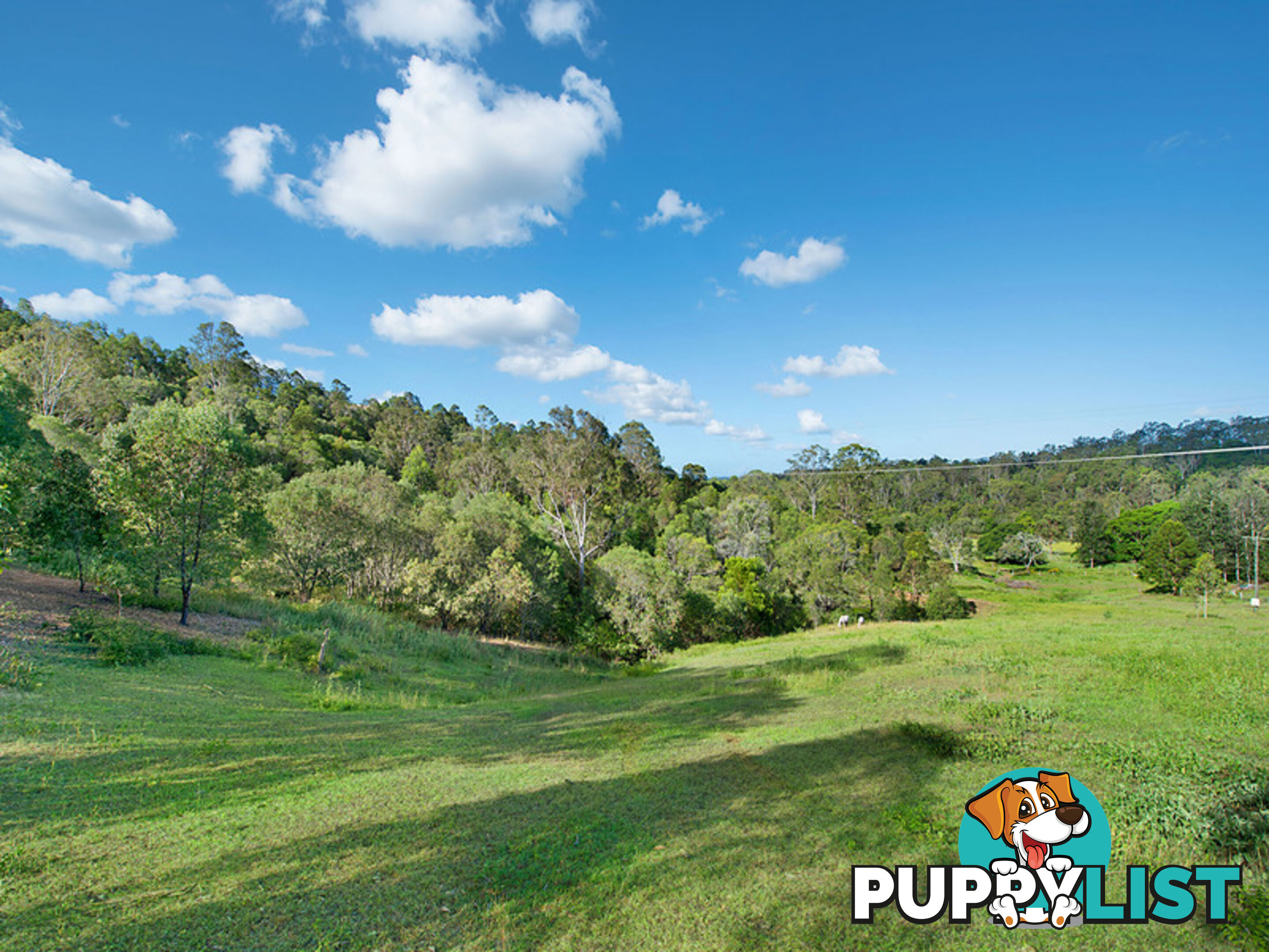 212 Dales Road Kobble Creek QLD 4520