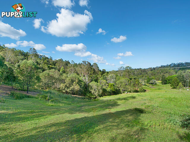 212 Dales Road Kobble Creek QLD 4520