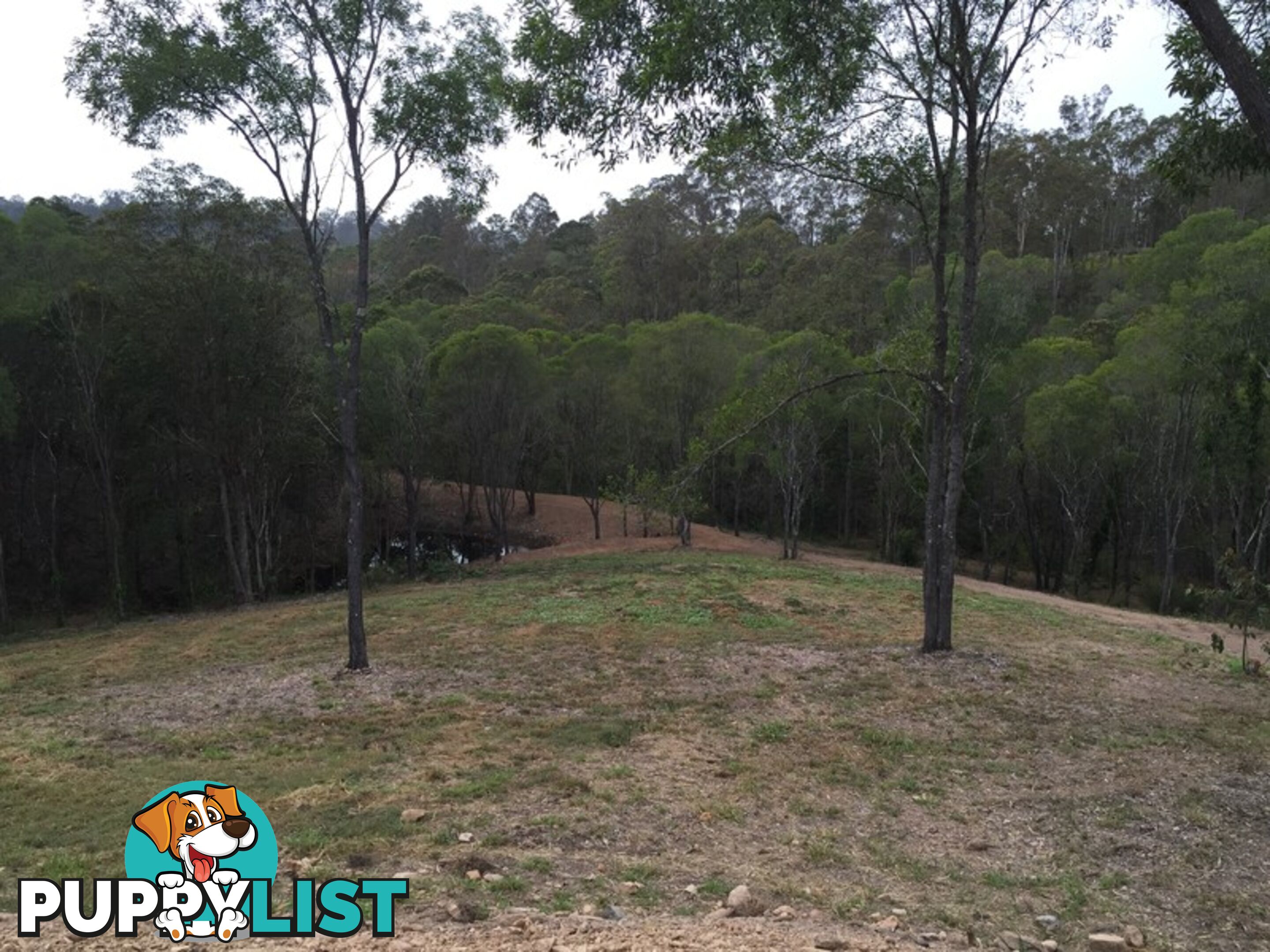 674 Eatons Crossing Rd Lot 12 Draper QLD 4520