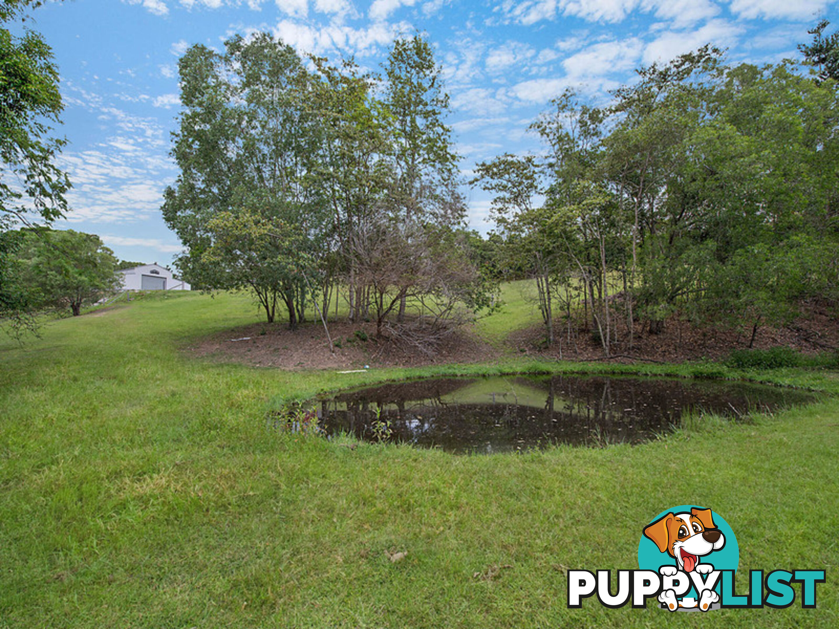 125 Herron Road Cedar Creek QLD 4520