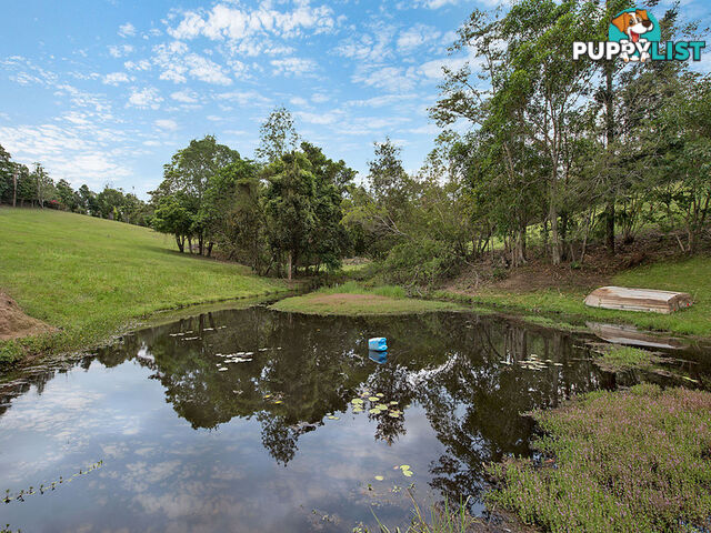 125 Herron Road Cedar Creek QLD 4520