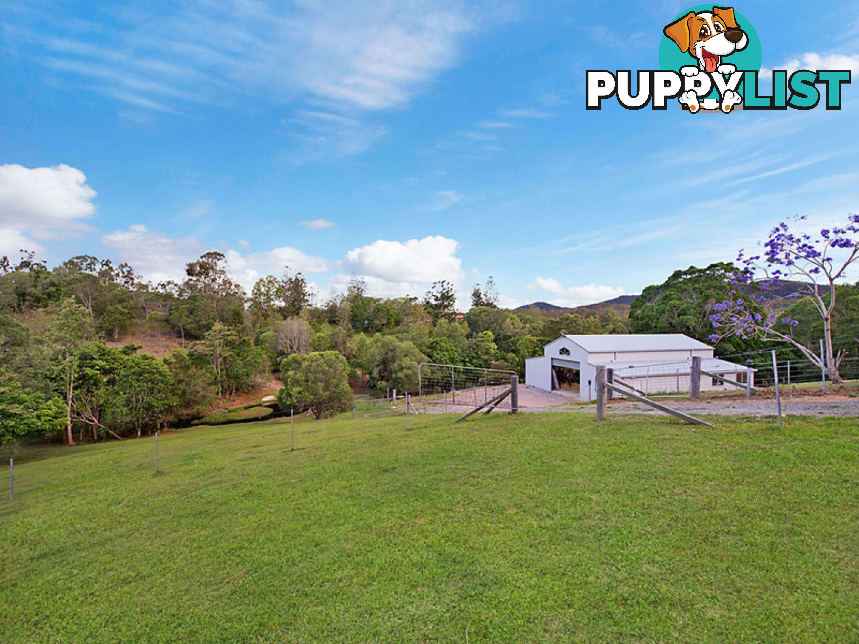 125 Herron Road Cedar Creek QLD 4520