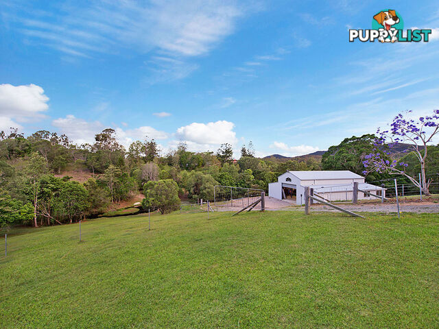 125 Herron Road Cedar Creek QLD 4520