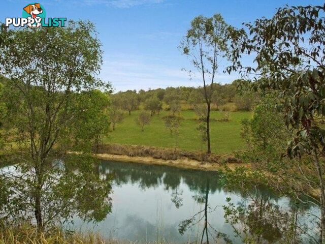 1870 Eumundi Kenilworth Road BELLI PARK QLD 4562