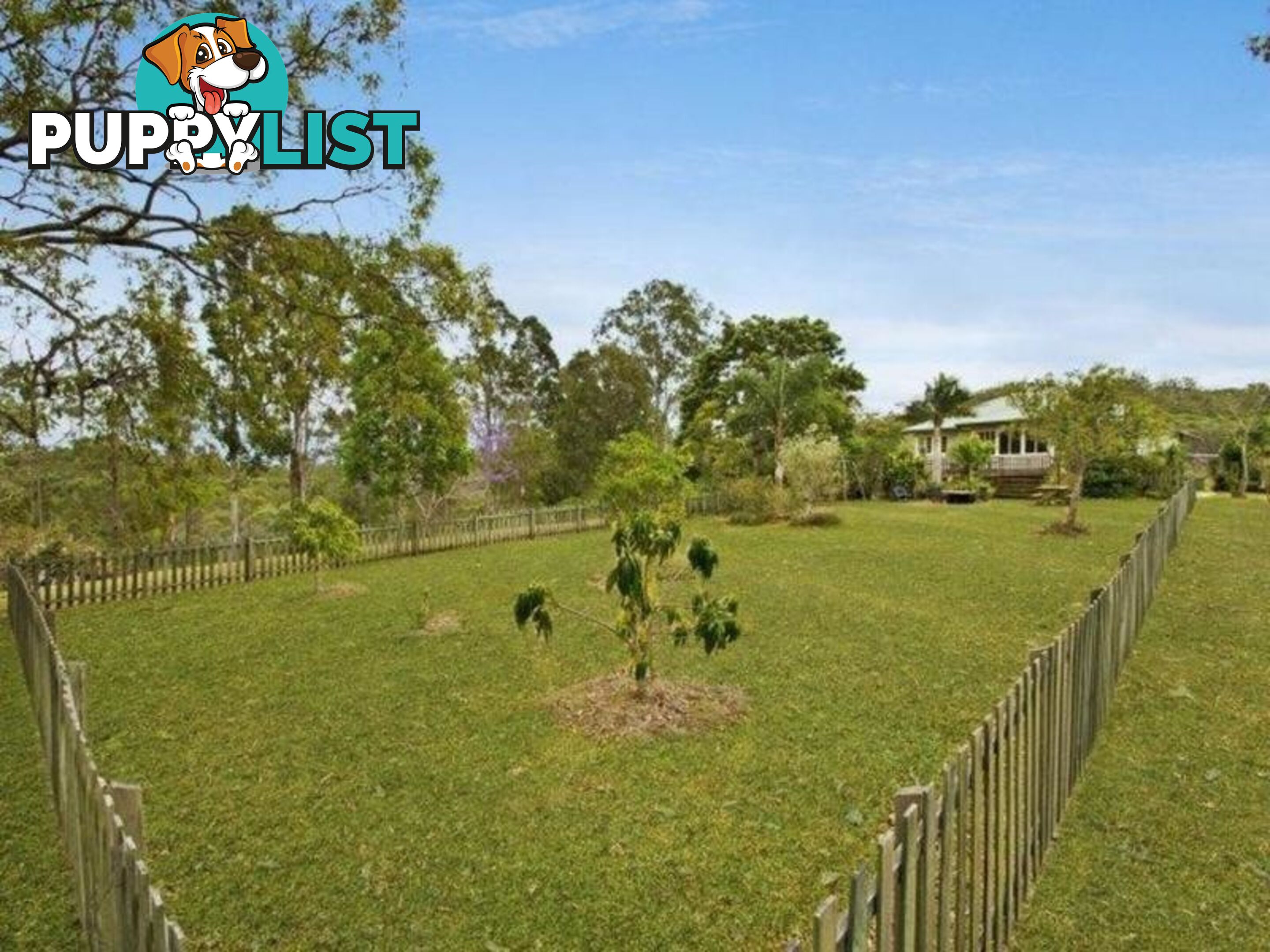 1870 Eumundi Kenilworth Road BELLI PARK QLD 4562