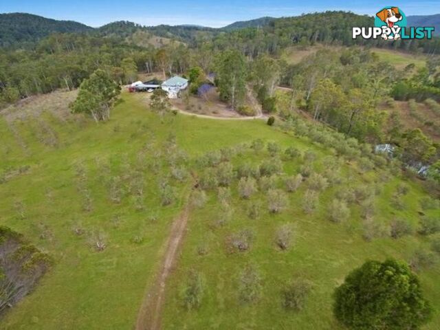 1870 Eumundi Kenilworth Road BELLI PARK QLD 4562