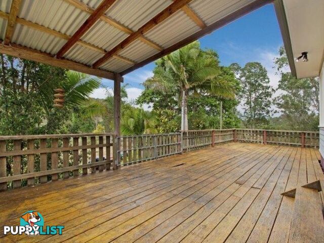 1870 Eumundi Kenilworth Road BELLI PARK QLD 4562