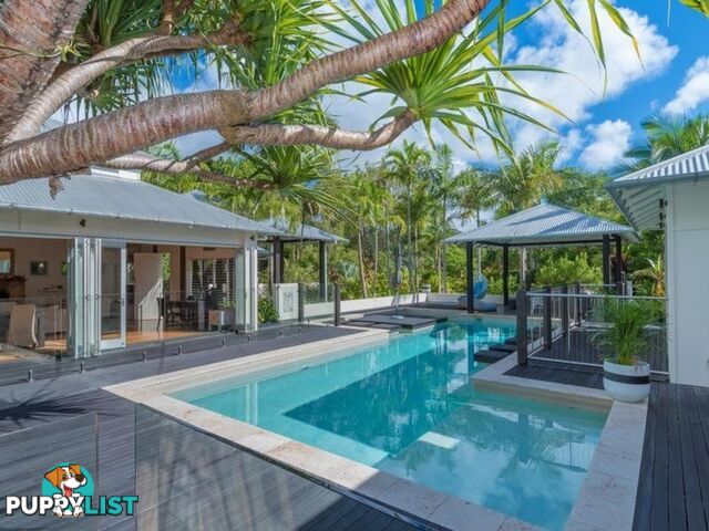 13 Habitat Place NOOSA HEADS QLD 4567