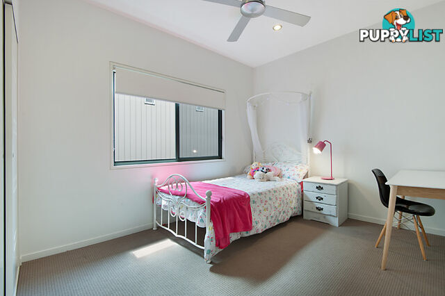 10 Hendry Street TEWANTIN QLD 4565