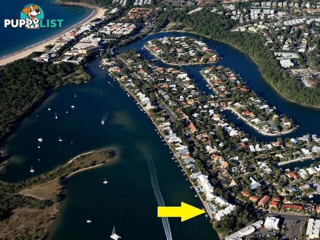 6 86 Noosa Parade NOOSA HEADS QLD 4567