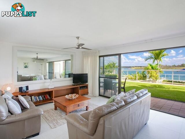 6 86 Noosa Parade NOOSA HEADS QLD 4567