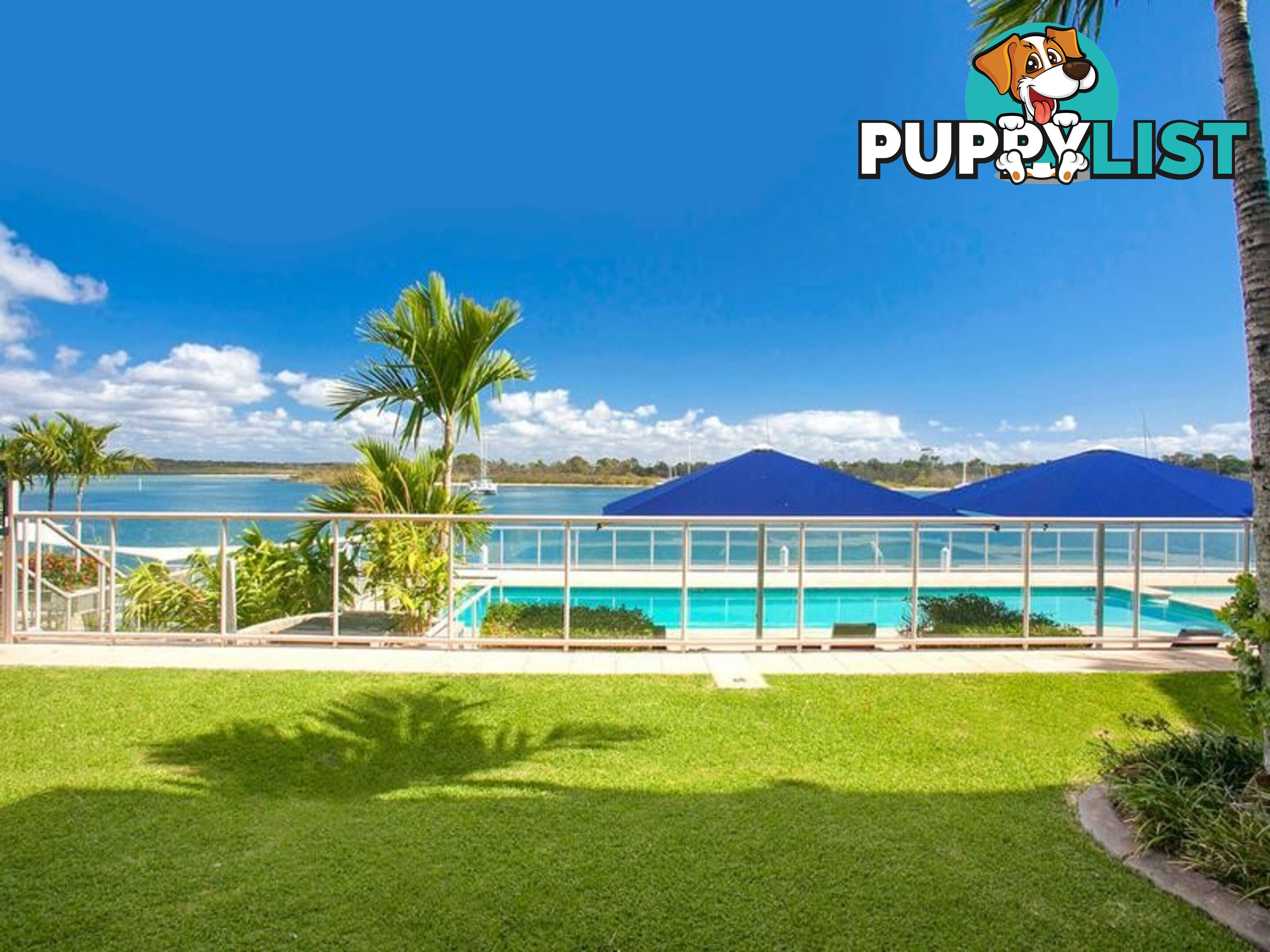 6 86 Noosa Parade NOOSA HEADS QLD 4567