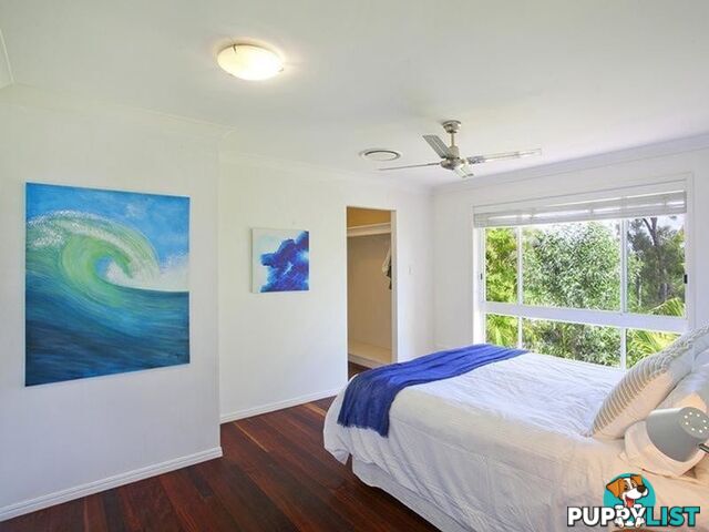 4 Warana Street NOOSA HEADS QLD 4567