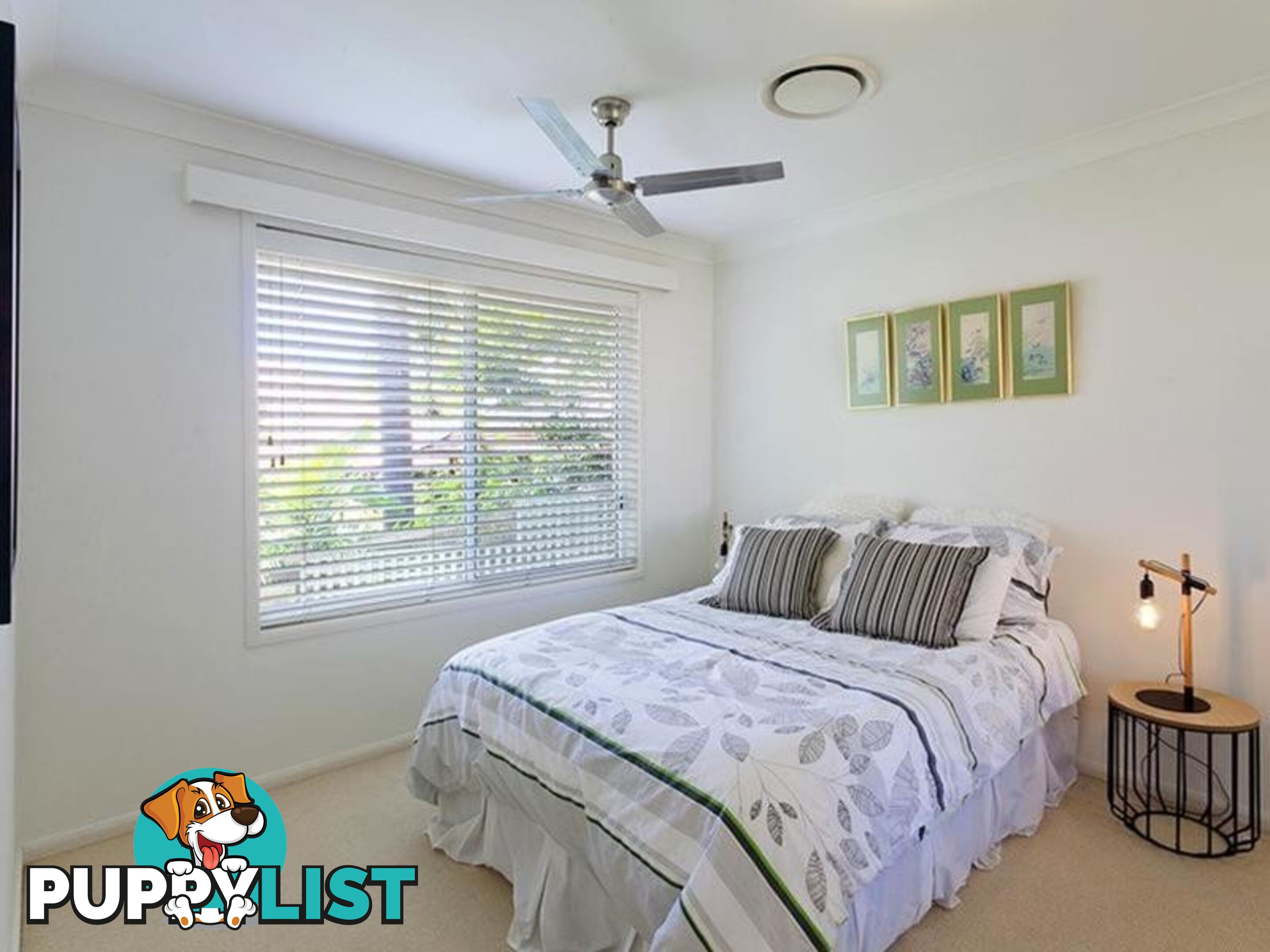 4 Warana Street NOOSA HEADS QLD 4567