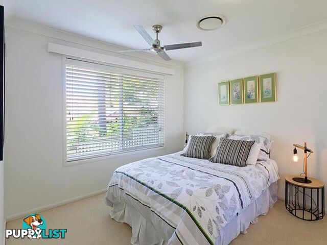 4 Warana Street NOOSA HEADS QLD 4567