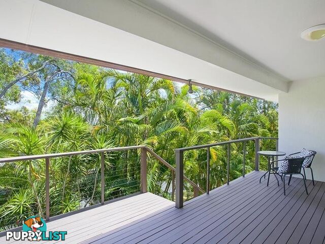 4 Warana Street NOOSA HEADS QLD 4567