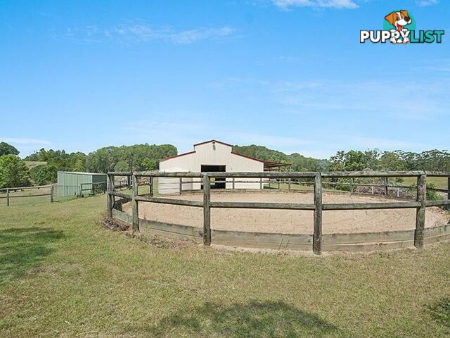 44 Firewheel Road RINGTAIL CREEK QLD 4565