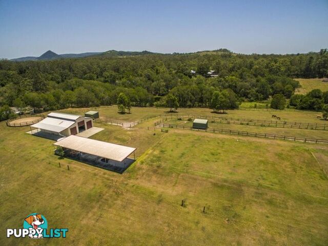 44 Firewheel Road RINGTAIL CREEK QLD 4565