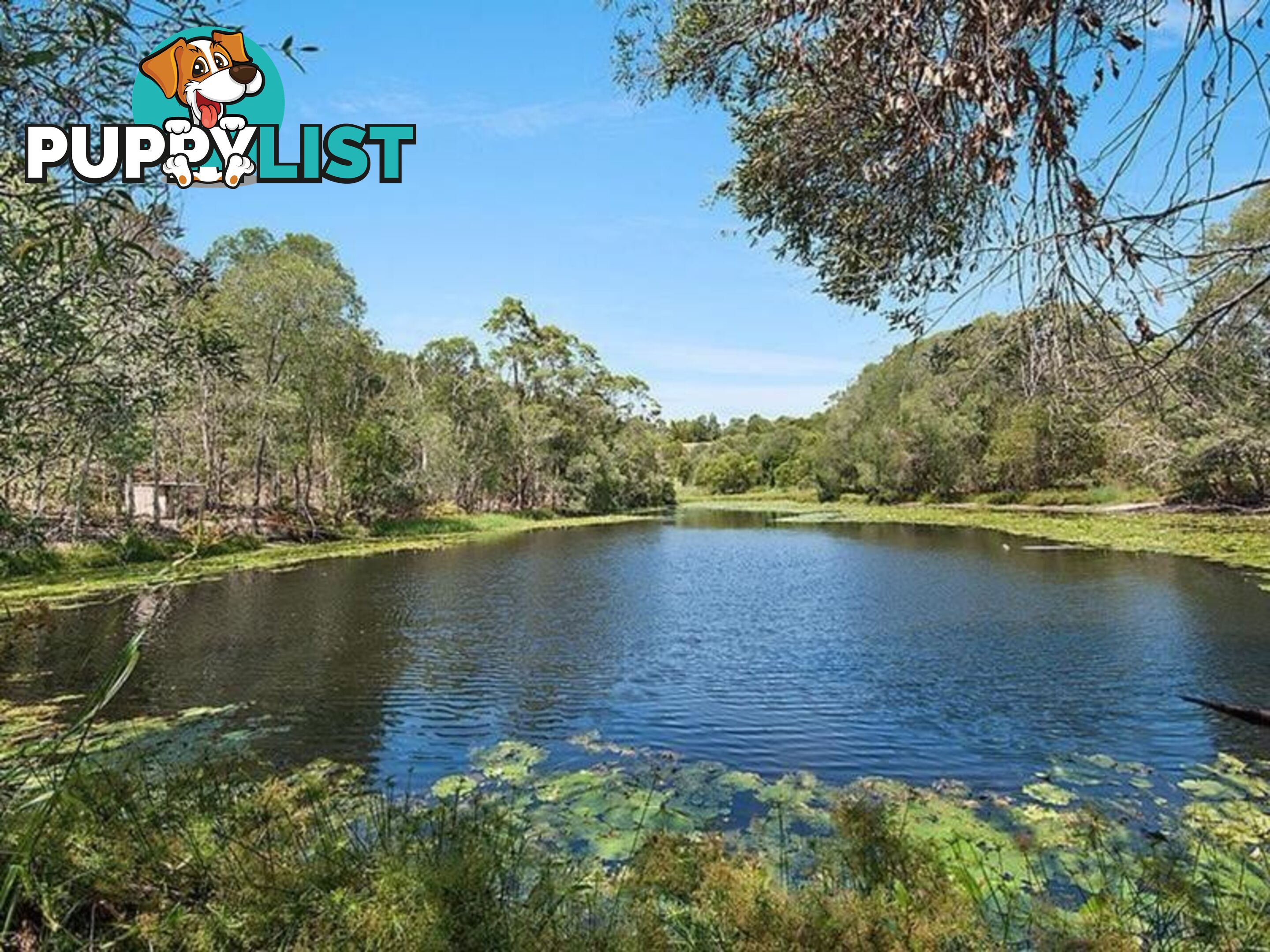 44 Firewheel Road RINGTAIL CREEK QLD 4565