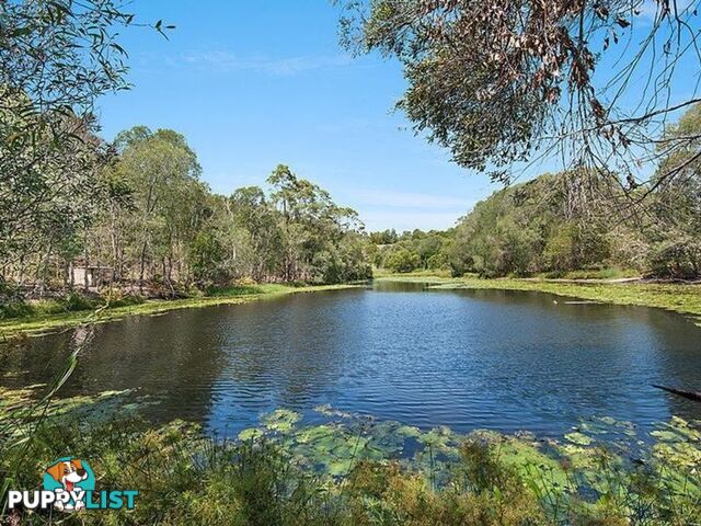 44 Firewheel Road RINGTAIL CREEK QLD 4565