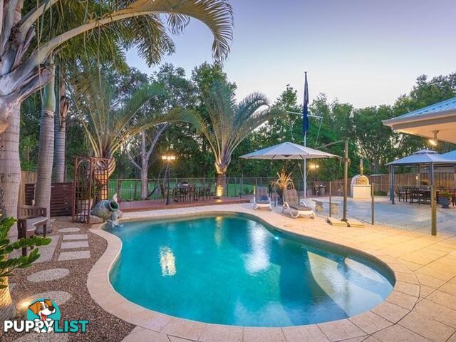 37 Fairway Parade PEREGIAN SPRINGS QLD 4573