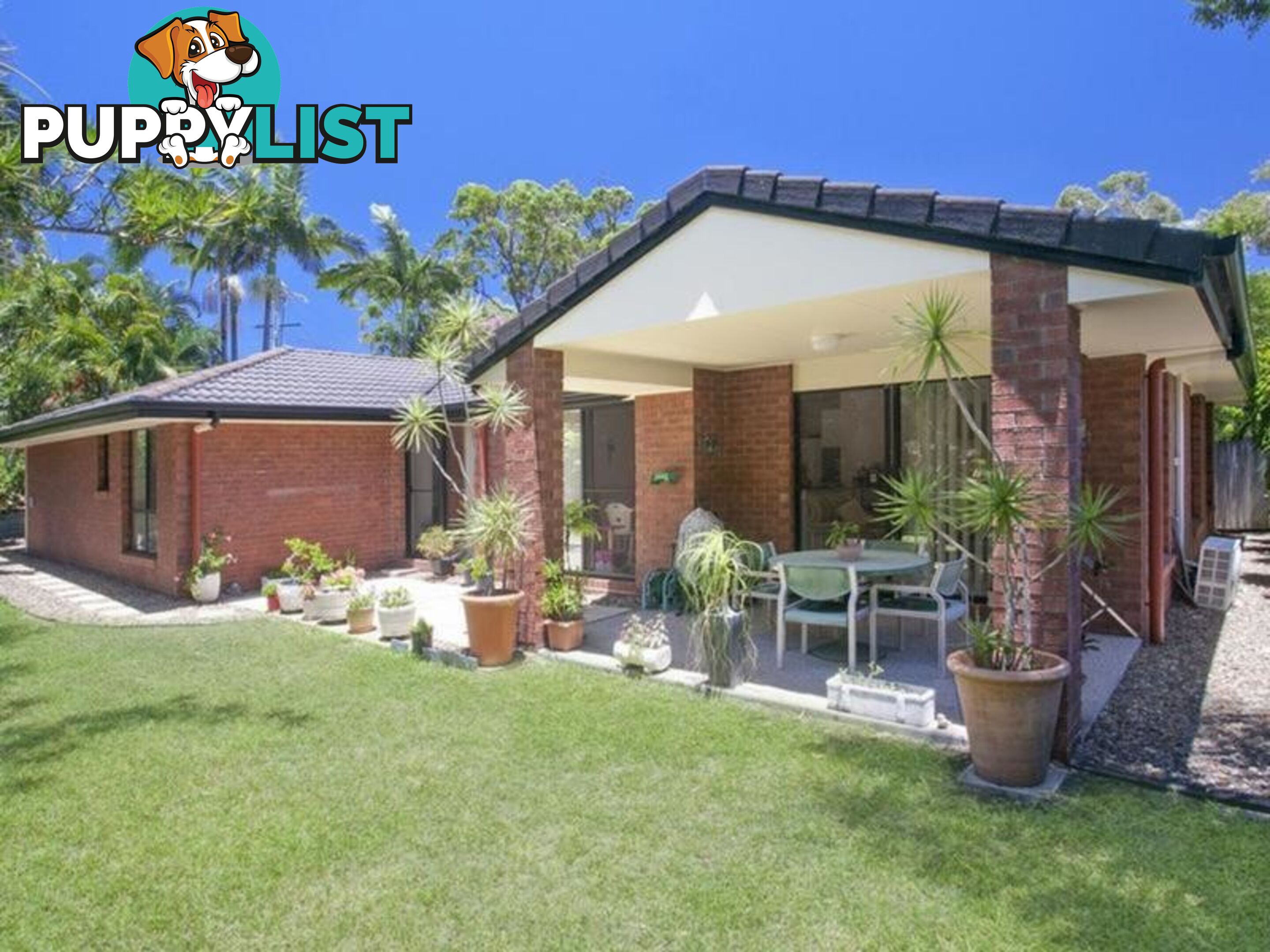 15 Paul Street NOOSA HEADS QLD 4567